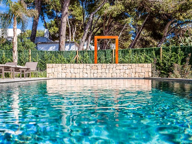 luxury villa in Ibiza by the sea